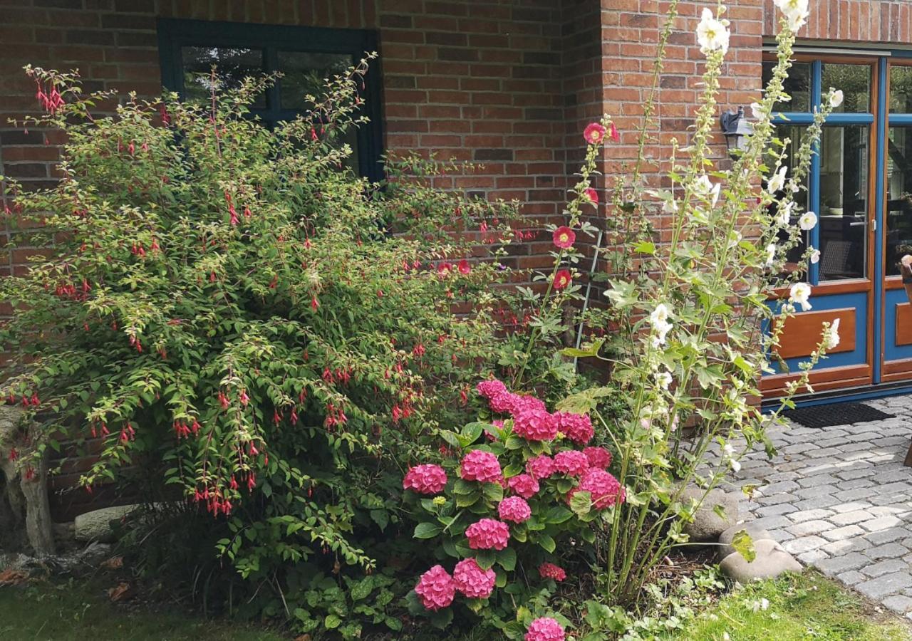 Ferienhaus Arkona Putgarten ภายนอก รูปภาพ